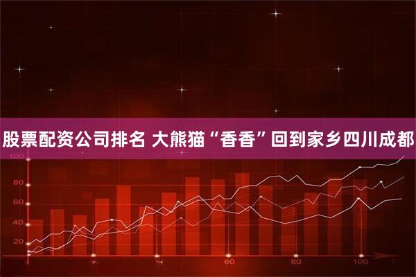 股票配资公司排名 大熊猫“香香”回到家乡四川成都